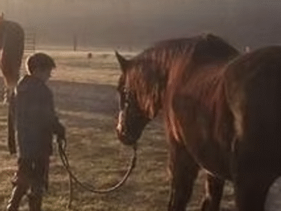 Horse'n Around Acres